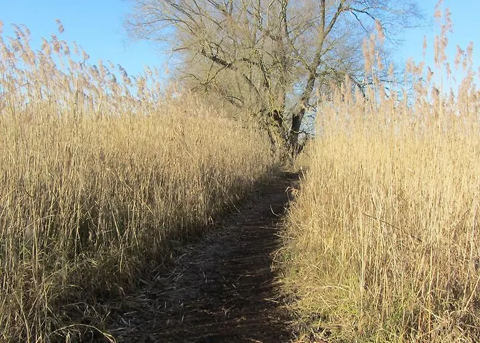 Christine ラドルフツェル・アム・ボーデンゼー