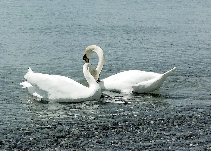 ホテル Christine 3*